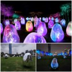 "teamLab: Resonating Microcosms" will reveal at LaLaport BUKIT BINTANG CITY CENTRE