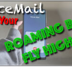 Traveller Knowhow: Expensive Roaming Bill cause by VoiceMail